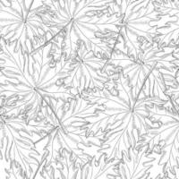 Chaotic maple leaf seamless pattern on white background. Monochrome leaves vintage wallpaper. Engraved style. vector