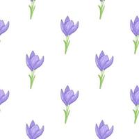Decorative seamless pattern with blue crocus flowers cute ornament. White background. Isolated floral print. vector