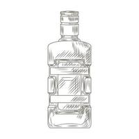 Bottle Becherovka isolated on white background. Bottle in engraved style. vector