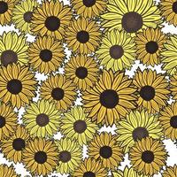 girasoles de patrones sin fisuras sobre fondo blanco. hermosa textura con girasol amarillo brillante y hojas. vector