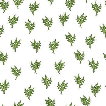 Seamless pattern bunch arugula salad on white background. Simple ornament with lettuce. vector