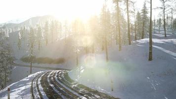 Flight above Winter Forest video