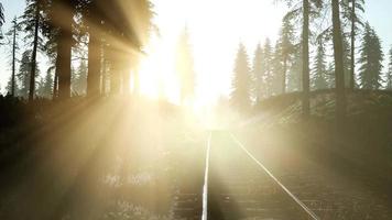 Flug über eine Eisenbahn, umgeben von Wald mit Sonnenstrahlen video