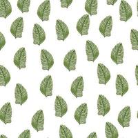 Organic palm leaf seamless pattern with hand drawn foliage print. Simple color background. Vector illustration for seasonal textile.
