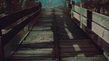 old wooden bridge over a small stream in a park video