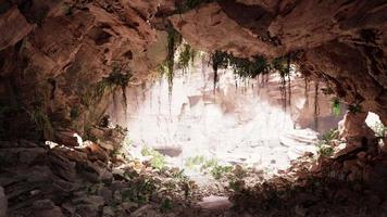 inside a limestone cave with plants and sun shine video