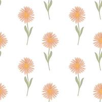 Isolated seamless pattern with pink colored chrysanthemum flowers print. White background. Doodle backdrop. vector
