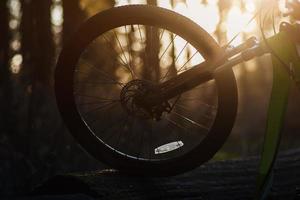 bicycle wheel at sunset photo