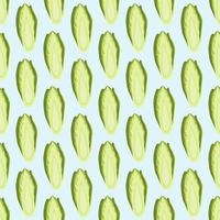 Seamless pattern Chicory cabbage on blue background. Simple ornament with lettuce. vector