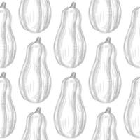 Zucchini seamless pattern on white background. Monochrome courgette vintage endless wallpaper. Squash whole. vector