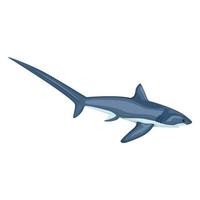 Thresher shark isolated on white background. Cartoon character of ocean for children. vector