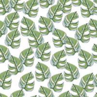 Isolated random seamless pattern with green monstera doodle leaves. White background. Floral backdrop. vector