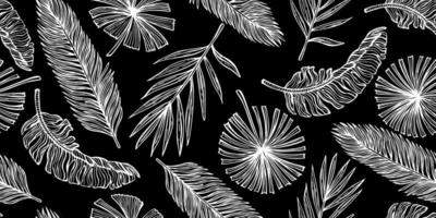 Tropical leaves seamless pattern on black background. Vintage leaf of banana and palm in engraving style. vector