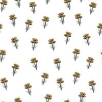 Seamless pattern chamomile on white background. Beautiful ornament summer flowers. vector