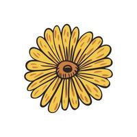 Sinflower isoleted on white background. Vintage sketch flower. vector