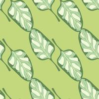 Seamless pattern Spinach salad on pastel green background. Modern ornament with lettuce. vector