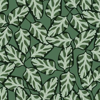 Seamless pattern Spinach salad on teal background. Abstract ornament with lettuce. vector
