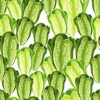 Seamless pattern lettuce Romano on white background. Modern texture with salad. vector