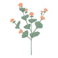 Twig pink flowers isolated on white background. Romantic hand drawn flower. vector