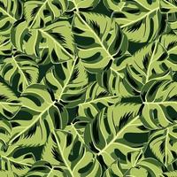 Floral seamless pattern with hand drawn random green monstera tropic leaves. Black background. Abstract print. vector