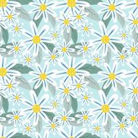 Pattern Sweet Daisy Flowers on Bright Blue Seamless Pattern vector