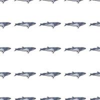 Seamless pattern lesser rorqual on white background. Template of cartoon character of ocean for fabric. vector