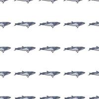 Seamless pattern lesser rorqual on white background. Template of cartoon character of ocean for fabric. vector