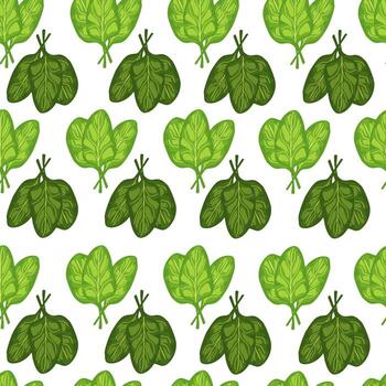 Seamless pattern bunch spinach salad on white background. Simple ornament with lettuce. vector