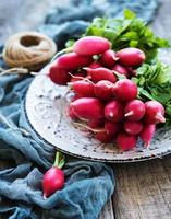 Bunch of radish photo