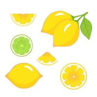lemon, lime cut. Illustration for printing, backgrounds, wallpapers, covers, packaging, greeting cards, posters, stickers, textile and seasonal design. Isolated on white background. vector