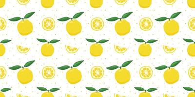 Yuzu japanese citron fruit seamless pattern vector illustration isolated on white background.