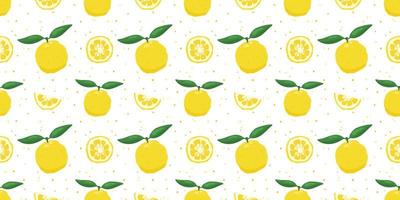 Yuzu japanese citron fruit seamless pattern vector illustration isolated on white background.