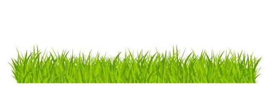 Green grassland lawn field border flat style design vector illustration isolated on white background.