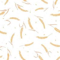 Seamless pattern with whole grain seeds organic, natural ears isolated on white background. vector