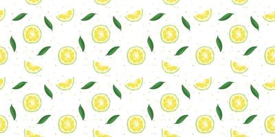 Yuzu japanese citron fruit seamless pattern vector illustration isolated on white background.