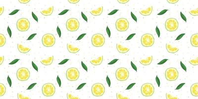 Yuzu japanese citron fruit seamless pattern vector illustration isolated on white background.