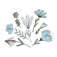 Composition from flowers on twigs with foliage on white background. Abstract botanical sketch blue color hand drawn in style doodle. vector