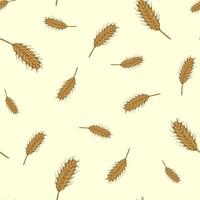 Wheat seamless pattern. Cereal crop sketch. vector