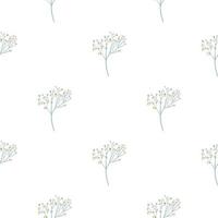 Isolated botanic seamless pattern with doodle gypsophila ornament. Floral print on white background. vector