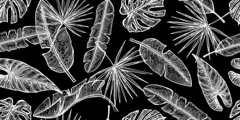 Engraved tropical leaf seamless pattern. Botany texture in hand drawn style. Rainforest black background.