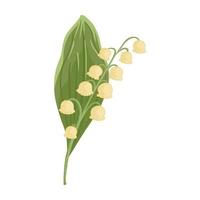 Flower lily of the valley with leaf isolated on white background. Beautiful hand drawn botanical sketches for any purpose. vector