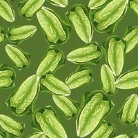 Seamless pattern lettuce Romano on green background. Modern texture with salad. vector