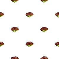 Seamless pattern lola rosa salad on white background. Simple ornament with lettuce. vector