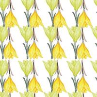 Scrapbook seamless isolated pattern with green and yellow crocus flowers shapes. White background. vector