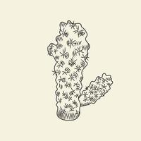 Wild cacti sketch. Mammillaria cactus isolated on light background. Engraving vintage style. vector