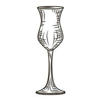 Empty glass pisco engraved style isolated on white background. Vintage sketch black outline close up. vector