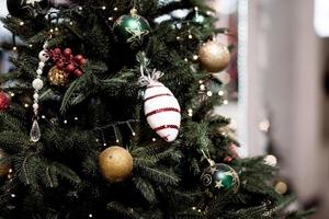 Shiny Christmas balls on pine branches photo