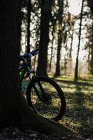 mountain bike in forest