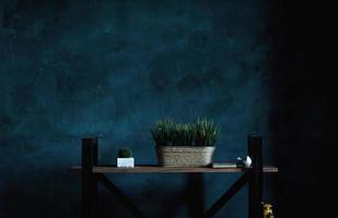 dark loft interior with a shelf photo