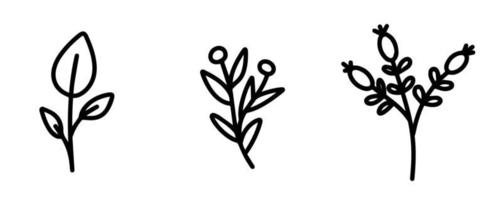 Collection of botanical elements for the design of postcards, invitations, creating logos or banners. Black and white vector flowers, berries, twigs and leaves for design. Simple, flat doodle style.